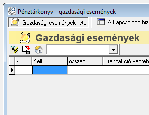 pénztárkönyv ablak üresen
